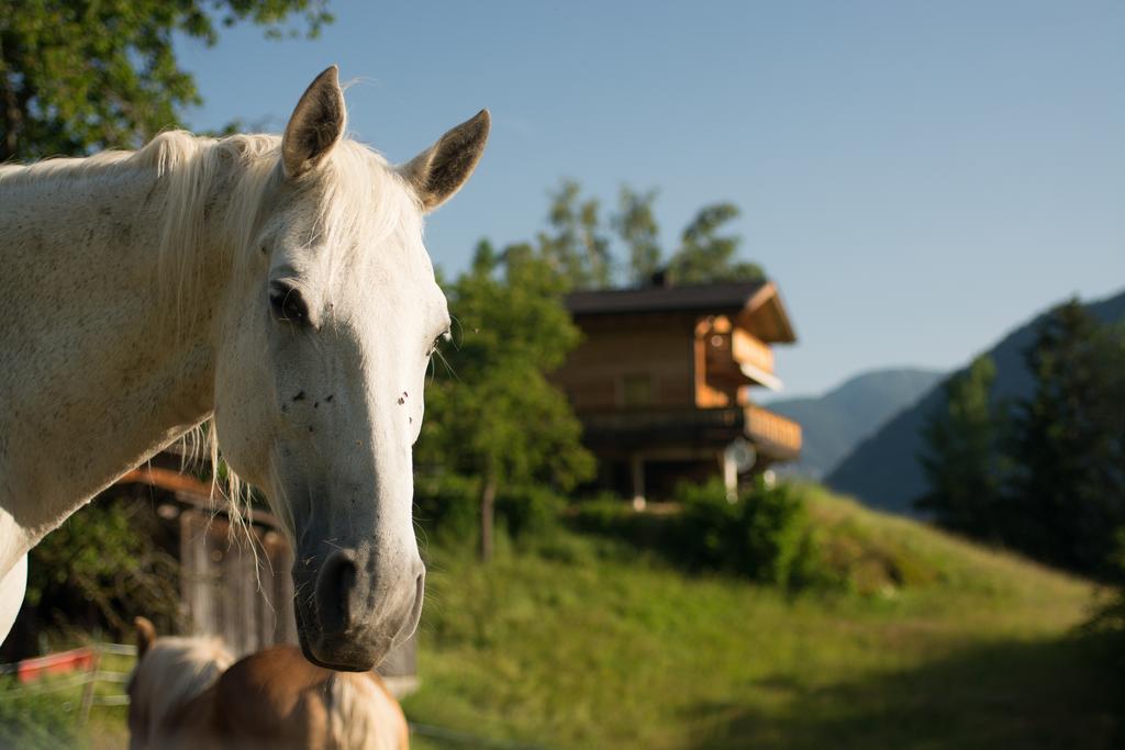 Ferienhaus Oetztal Sautens Buitenkant foto